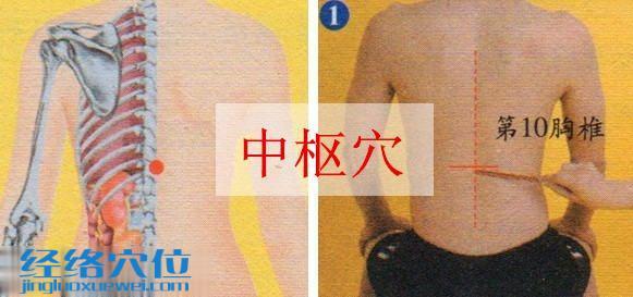 中樞穴的準確位置圖