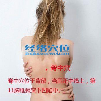 脊中穴位圖