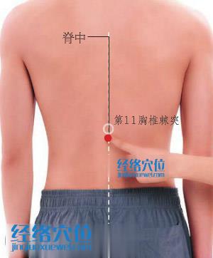脊中穴位位置圖