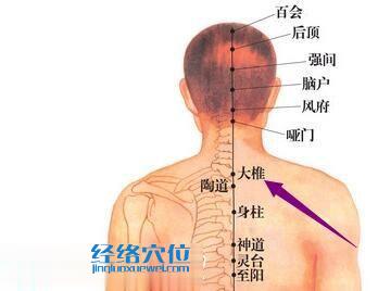 大椎穴位圖