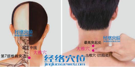 大椎穴位位置圖