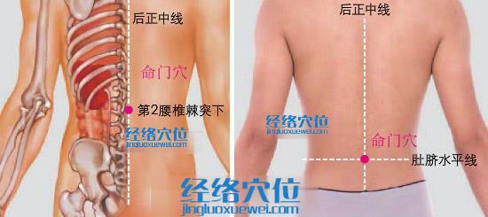 命門穴位位置圖