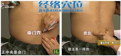 圖解命門、腎俞穴的位置