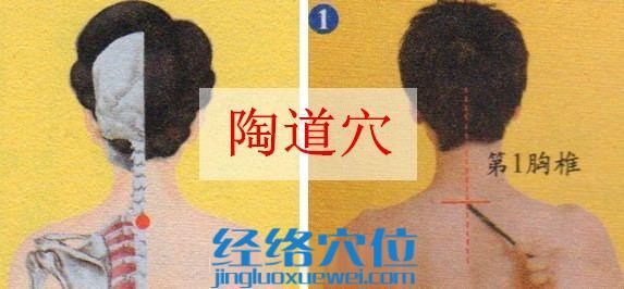 陶道穴的準(zhǔn)確位置圖