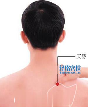 天髎穴位位置圖