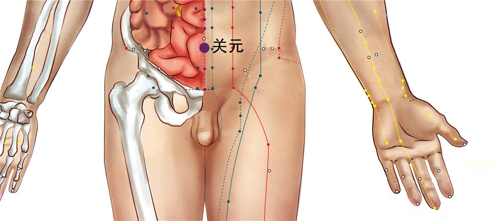 關(guān)元穴