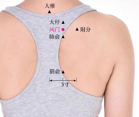風門的準確位置圖及功效視頻位位置圖