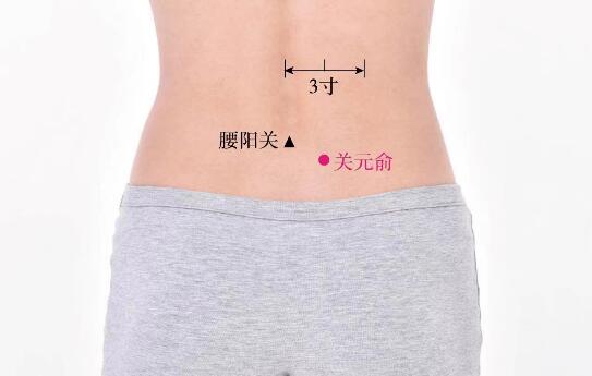 關(guān)元俞的準(zhǔn)確位置圖及功效視頻位位置圖