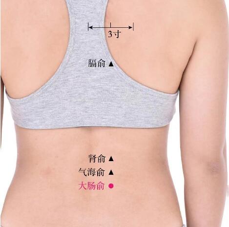 大腸俞的準(zhǔn)確位置圖及功效視頻位位置圖