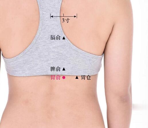 胃俞的準(zhǔn)確位置圖及功效視頻位位置圖