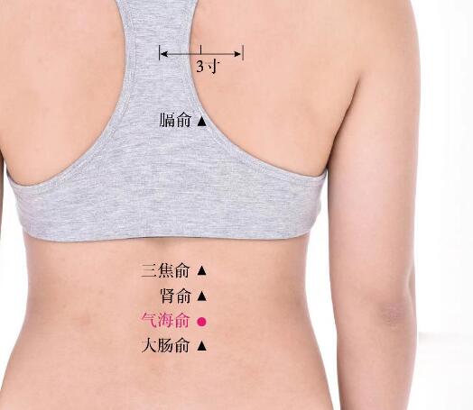氣海俞的準(zhǔn)確位置圖及功效視頻位位置圖