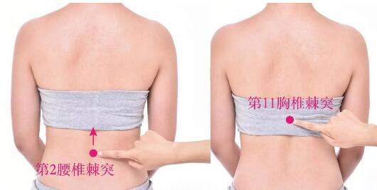 脾俞的準(zhǔn)確位置圖及功效視頻位位置圖