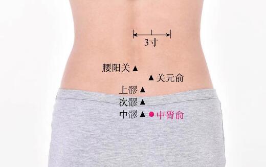 中膂俞的準確位置圖及功效視頻位位置圖