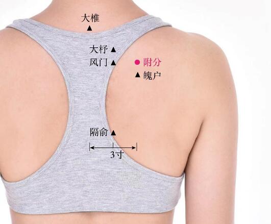 魄戶的準(zhǔn)確位置圖及功效視頻位位置圖