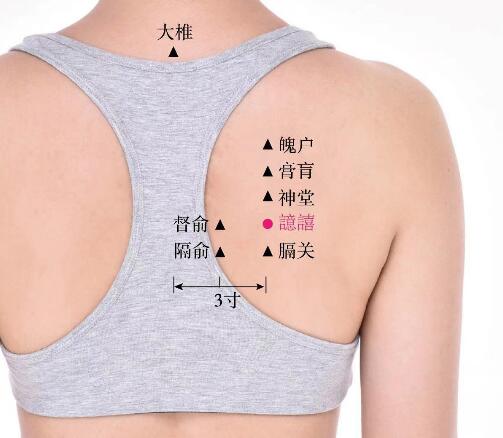 膈關(guān)的準(zhǔn)確位置圖及功效視頻位位置圖