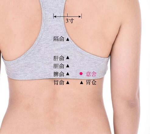 意舍的準(zhǔn)確位置圖及功效視頻位位置圖