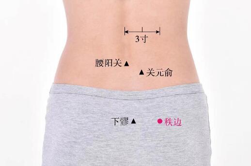 秩邊的準(zhǔn)確位置圖及功效視頻位位置圖