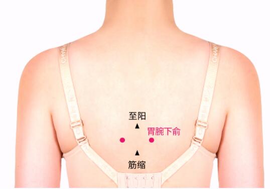 胃脘下俞的準(zhǔn)確位置圖及功效視頻位位置圖