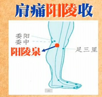 人體常用穴位之陽陵泉穴位圖