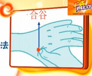 人體常用穴位之合谷穴位圖