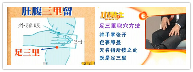 人體常用穴位之足三里穴位圖