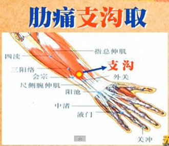 人體常用穴位之支溝穴位圖