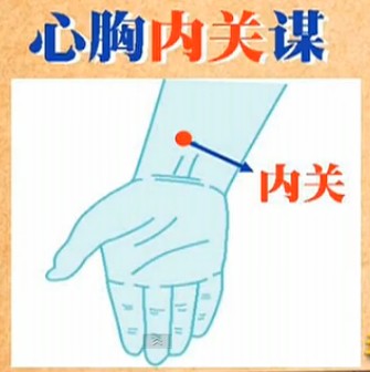 人體常用穴位之內(nèi)關(guān)穴位圖