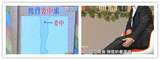 人體常用穴位之委中穴位圖