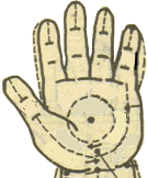 中醫(yī)穴位按摩之心經(jīng)穴位圖