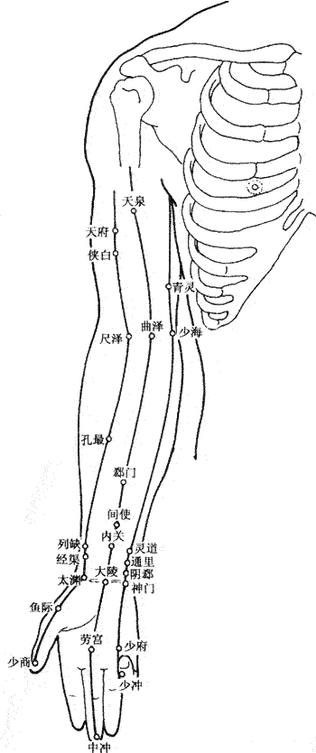人體胳膊手部內(nèi)側(cè)【穴位圖】
