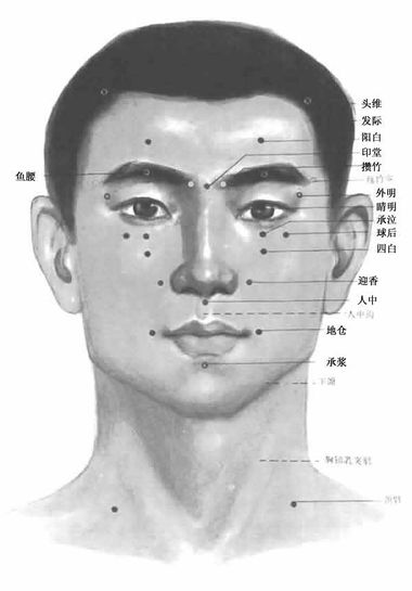 人體頭部正面【穴位圖】