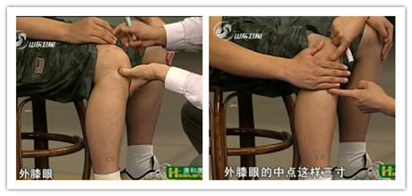 足三里穴的準(zhǔn)確位置圖