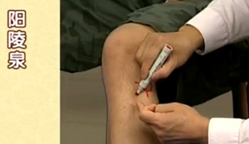 治療肩周炎的穴位：陽陵泉穴的位置圖