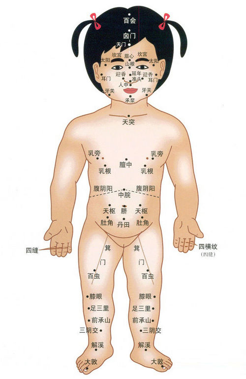 寶寶正面穴位圖