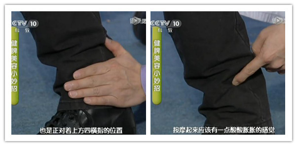 三陰交準(zhǔn)確位置圖