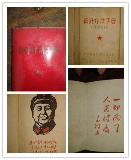 新針灸療法手冊(cè)
