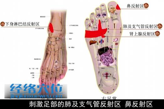 足部理療法