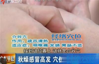 合谷穴的位置圖