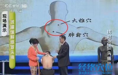 大椎穴、肺俞穴的穴位位置圖