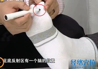 足底反射區(qū)中的腦反射區(qū)位置圖