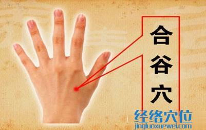 合谷穴的位置圖