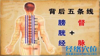 膀胱經(jīng)和督脈