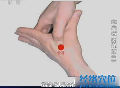合谷穴的準(zhǔn)確位置圖