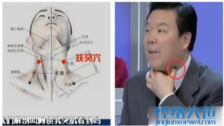 扶突穴的準(zhǔn)確位置圖