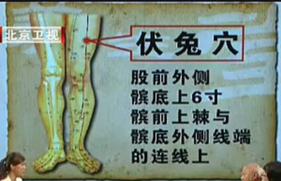 伏兔穴位位置圖