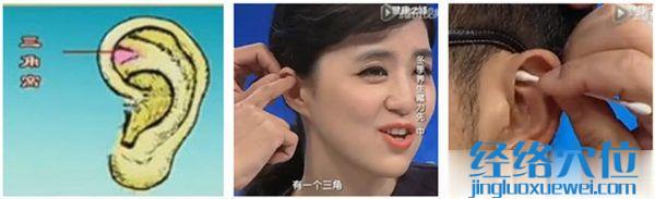 耳穴上三角窩