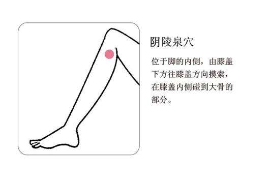 陰陵泉穴.jpg